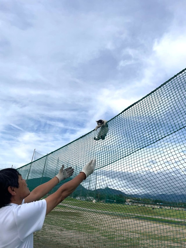 救出役を買って出たのは、猫を4匹飼っている営業マン（「大山カントリー」さん提供）