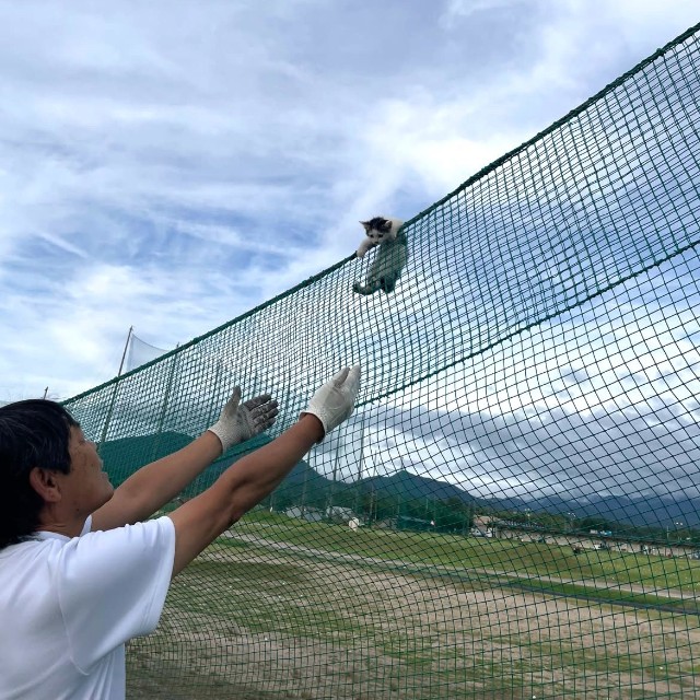 救出役を買って出たのは、猫を4匹飼っている営業マン（「大山カントリー」さん提供）