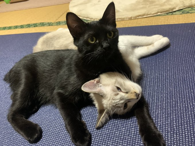 相思相愛な寄り添い寝