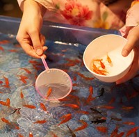 金魚すくい　※画像はAIが生成したイメージです（Soichiro/stock.adobe.com）