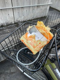 きのこさんが発見時のポケット小六法。もう息はなさそうだ（きのこさん提供）