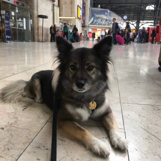 イタリア、ミラノ駅にて（@nana_crossbreed提供）