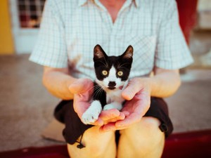 両親の喧嘩を見るのが苦しくて辛くて、私は逃げるように上京した