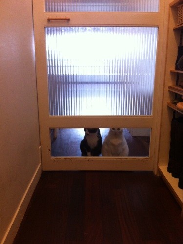 おかえりなさーい！