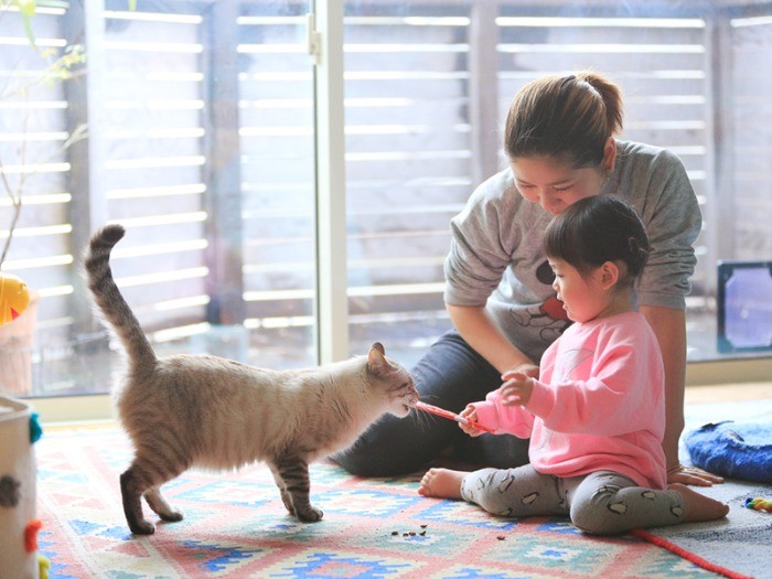 散歩から戻った娘さん（1歳7ヶ月）も参戦。
猫の英才教育（笑）