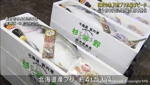 天然ブリの水揚げが本格化　仙台市中央卸売市場