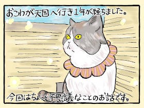 愛猫「おこわ」の一周忌　泣きながら寝た夜に、不思議な“喝”