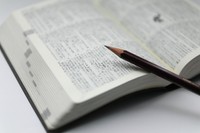 画像はイメージです(hoshi/stock.adobe.com)