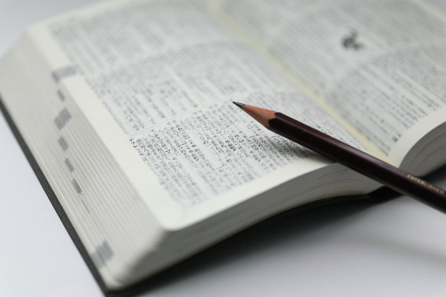 画像はイメージです(hoshi/stock.adobe.com)