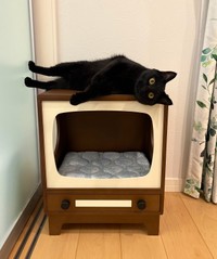 そこ…！？（画像提供：うに3才さん）