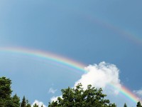 1年の1人暮らしを支えてくれ、温かく笑いに満ちた街。一生忘れない