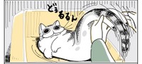 毎回うちの猫かと思うあるあるな仕草が話題。（『夜は猫といっしょ』「どいてくれないネコ」より／提供：キュルZさん）