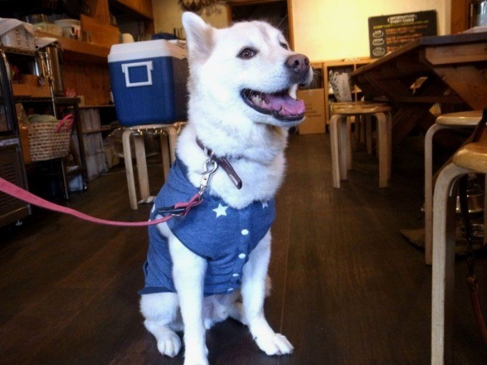 お似合いの服を着て