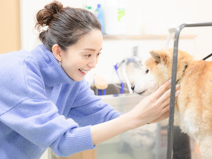 グルーミング室でブラッシングをされていた犬をみつめる松島花さん
