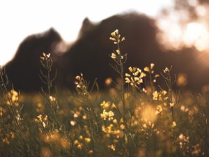 浮気男に「俺に新しい彼女ができるのを邪魔しないでほしい」と言われ、私は彼を葬る