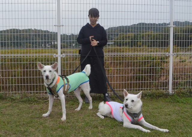 同じ山で生まれた音次郎くん（左）と同居犬の胡太郎くん