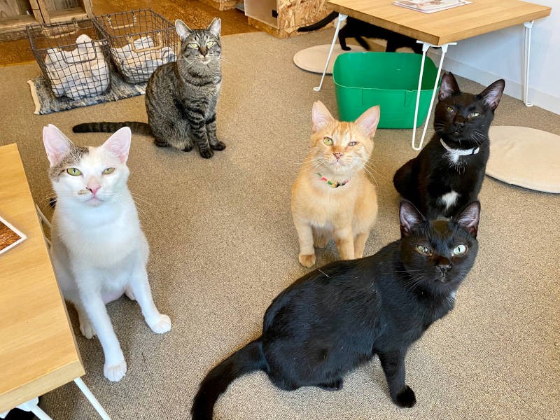 フレンドリーな子がたくさん！