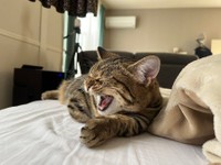 これからも可愛い姿を見せてくださいね（提供：もな さん）