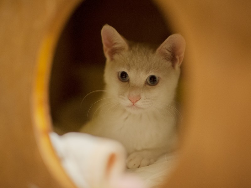 「独りになりたいときもあるさ」（小林写函撮影）
