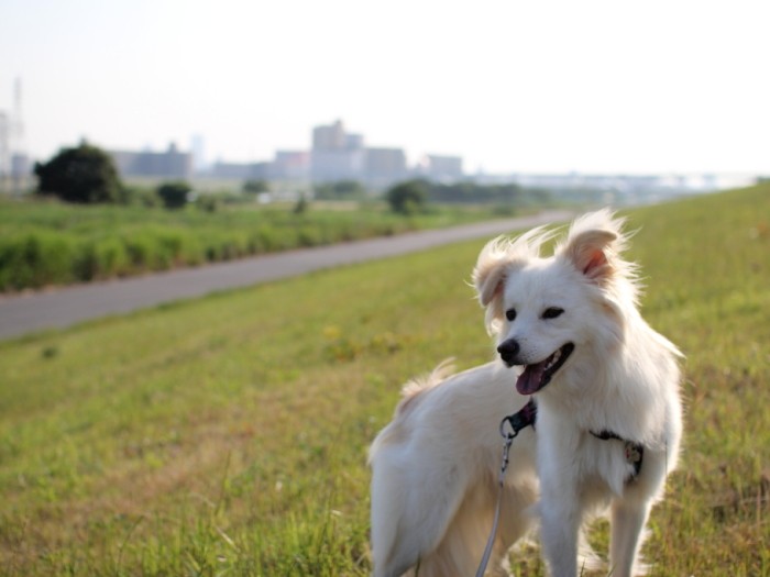 1歳を過ぎて完成した大吉