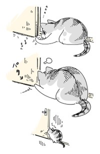 あれ…？！（提供：キュルZさん）