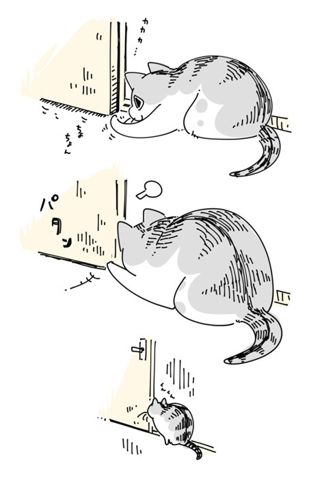 あれ…？！（提供：キュルZさん）