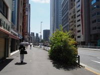 青梅街道で新宿西口駅へ向かう