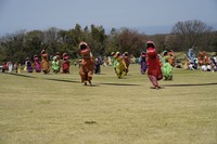 ゴールを目指して駆けるティラノサウルスたち／日本ティラノサウルス保存会（@TREXraceDAISEN）提供