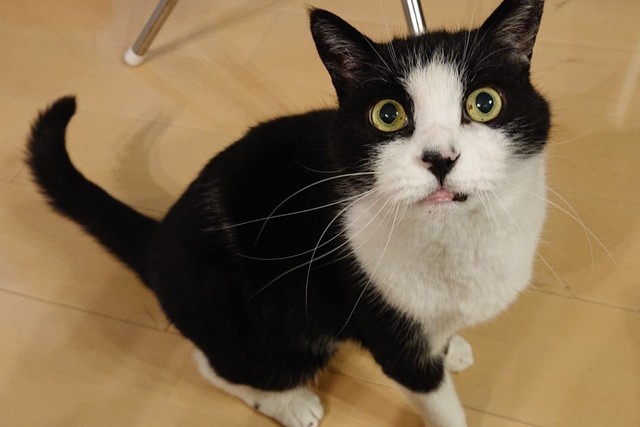 ※写真はイメージです