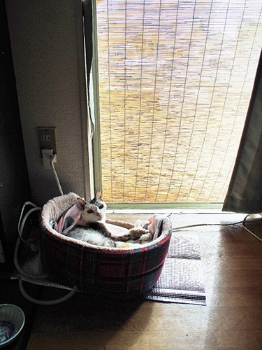 外が見える場所が好きだった