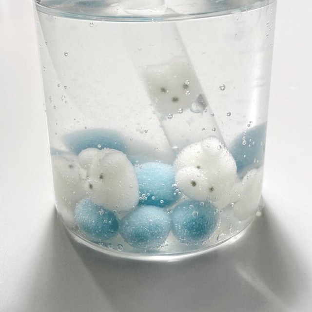 吸われちゃうよ〜（提供：REMMEさん）