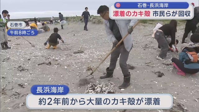 石巻・長浜海岸で市民らがカキ殻を回収　２年前から大量漂着