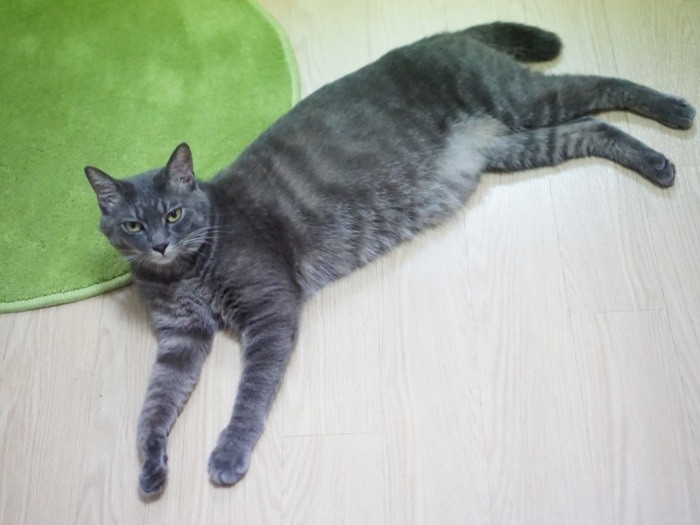 僕はまずますかっこよくなるぞ