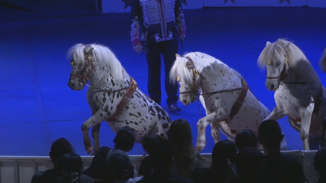 木下大サーカス　岡山市北区北長瀬表町