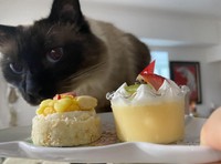 これは何かしら？＝fuku.fuku86さん提供