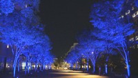 魅力的な夜景で回遊性向上へ　サンポートエリアでライトアップ始まる　高松市