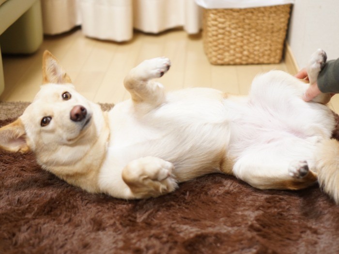 楽しいことが、きっとこれからいっぱい！