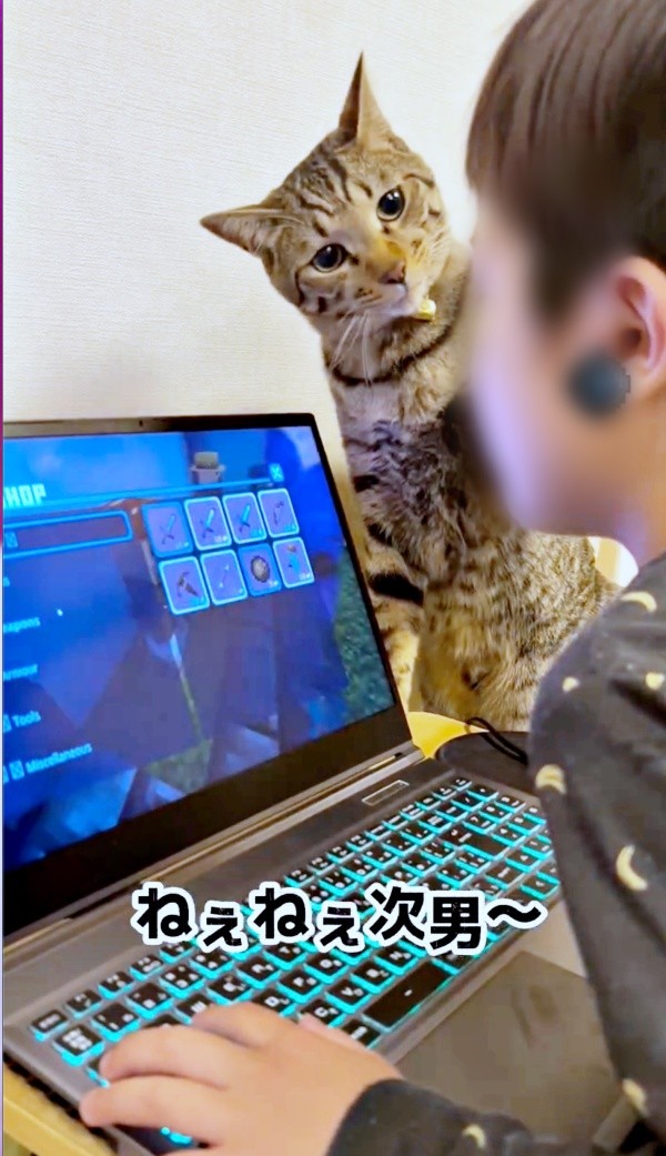 頭をちょいちょいするzozoくん（画像提供：zozoさん）