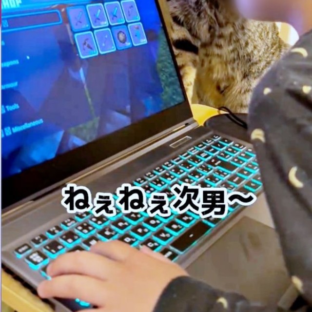 頭をちょいちょいするzozoくん（画像提供：zozoさん）