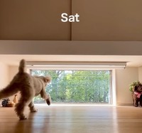 土曜日も張り切ってお出迎え！（提供：@vngomanori503さん）