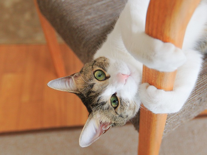 もう帰っちゃうの？
ばくてんは人たらしだ（笑）