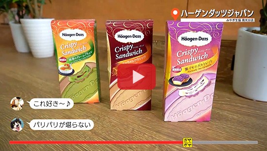#113ハーゲンダッツジャパン③