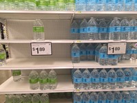 （金光英実さん提供）