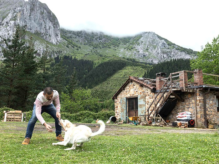 元保護犬のラブはラブラドール風の雑種。後ろに見えるのが築約200年、元羊小屋という前田邸。
