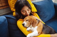 幸せそうなペット　※画像はイメージです（Kiattisak/stock.adobe.com）