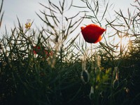 旅は人生。飛び込んでみて、計画外のトラブルも出会いも楽しむ