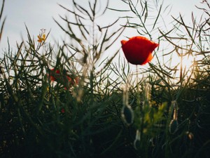 旅は人生。飛び込んでみて、計画外のトラブルも出会いも楽しむ