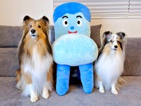 NHK Eテレの番組「みいつけた！」の人気キャラクター「コッシー」のぬいぐるみと並ぶ（左から）こわたちゃん、こいとちゃん（画像提供：こわた＋こいとさん）