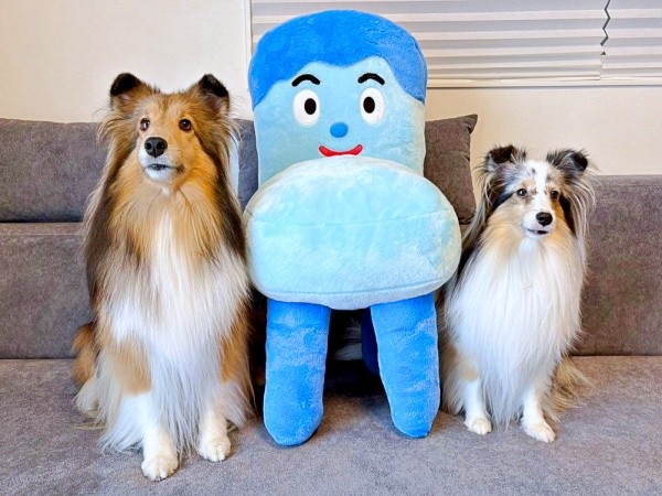 NHK Eテレの番組「みいつけた！」の人気キャラクター「コッシー」のぬいぐるみと並ぶ（左から）こわたちゃん、こいとちゃん（画像提供：こわた＋こいとさん）