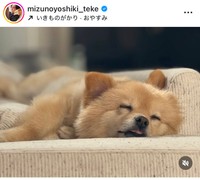 水野良樹インスタグラム＠mizunoyoshiki_tekeより